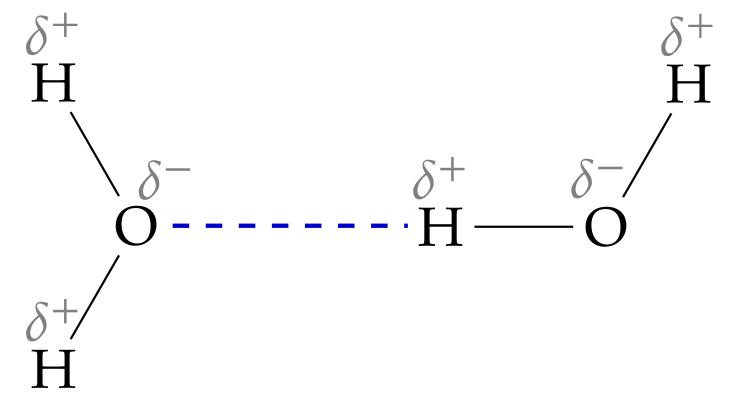 liaison hydrogène